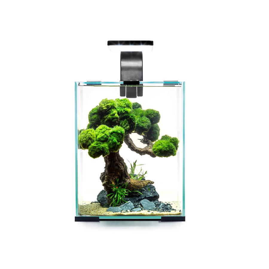 Conjunto de camarão Aquael D&N 20