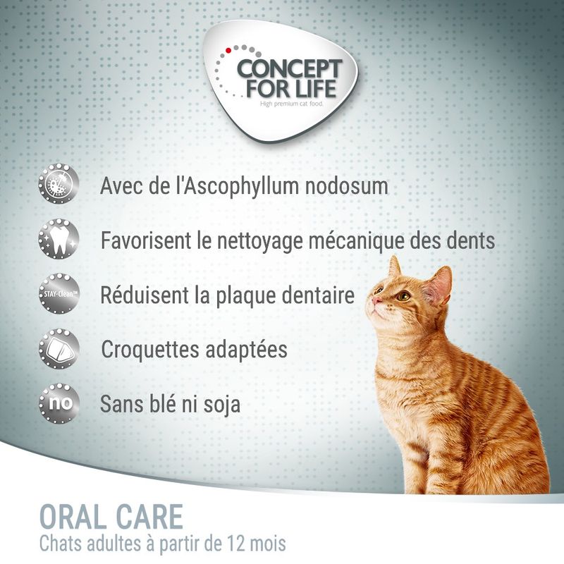 Concept for Life Oral Care pour chat