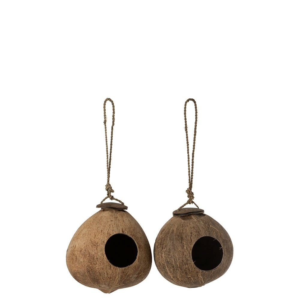 Noix de coco maison marron naturel l
