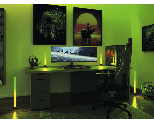 EntertainLED Lightbar Dynamisch 2-pack 2x24 lm H 30,5 cm RGB kleurverandering met geheugenfunctie + afstandsbediening