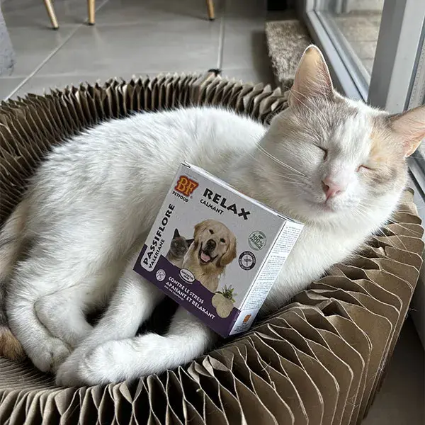 BF Petfood comprimés Relax pour Chien et Chat, 100 pièces