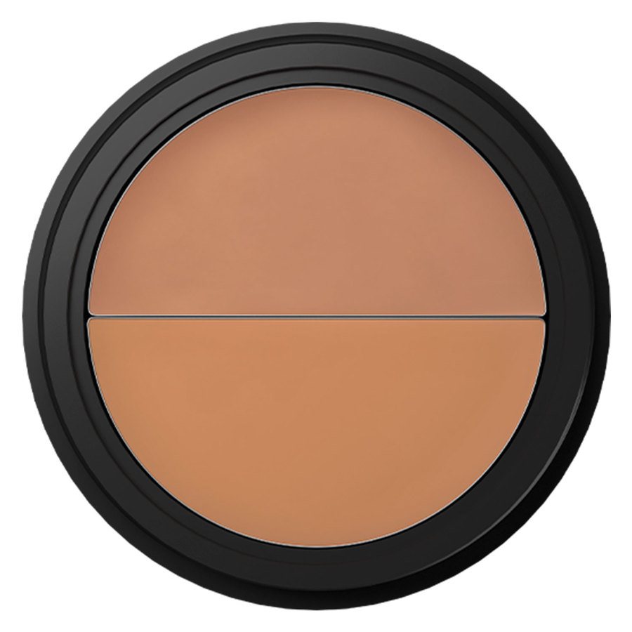 KENNY SKIN Perfectionist Concealer Natural 3g
