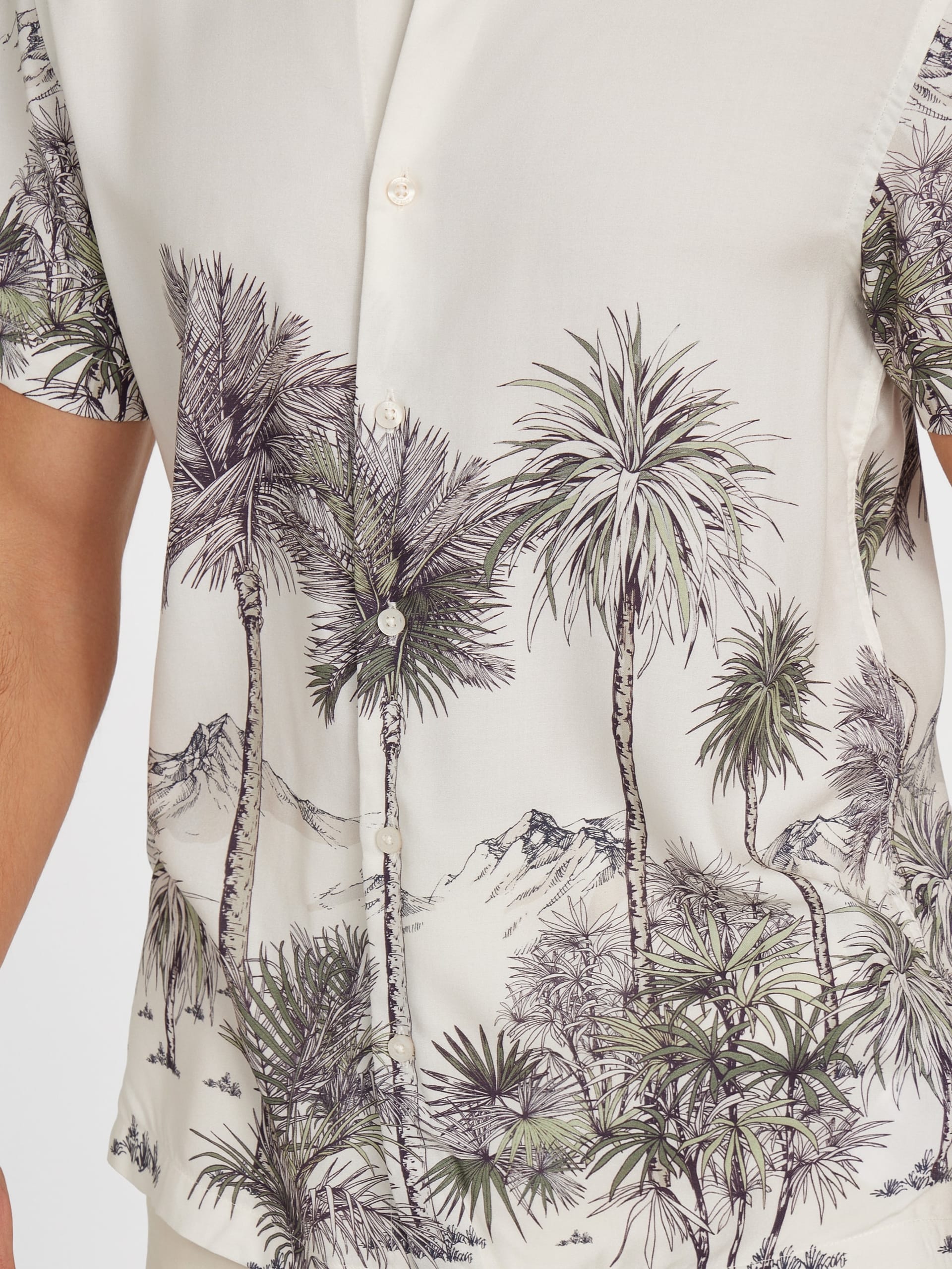 Camiseta Eco Palm Canyon