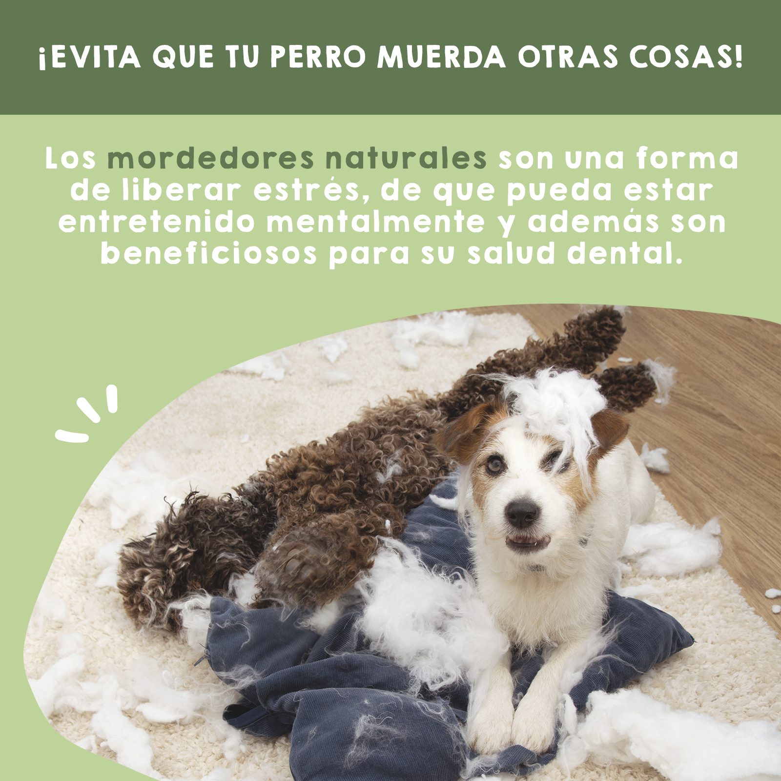 Ossinhos de queijo do Himalaia para cães. 100% naturais. MAIKAI PETS