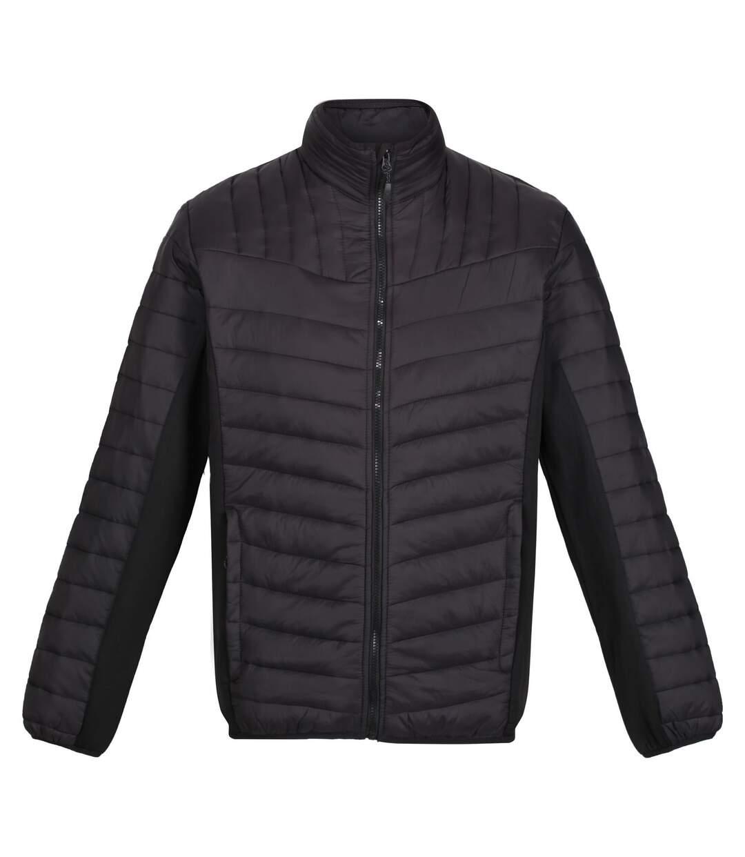 Regatta - Doudoune matelassée TOURER HYBRID - Homme (Noir) - UTPC4682