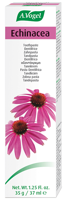 VOGEL Zahnpasta<br>100 g, Echinacea
