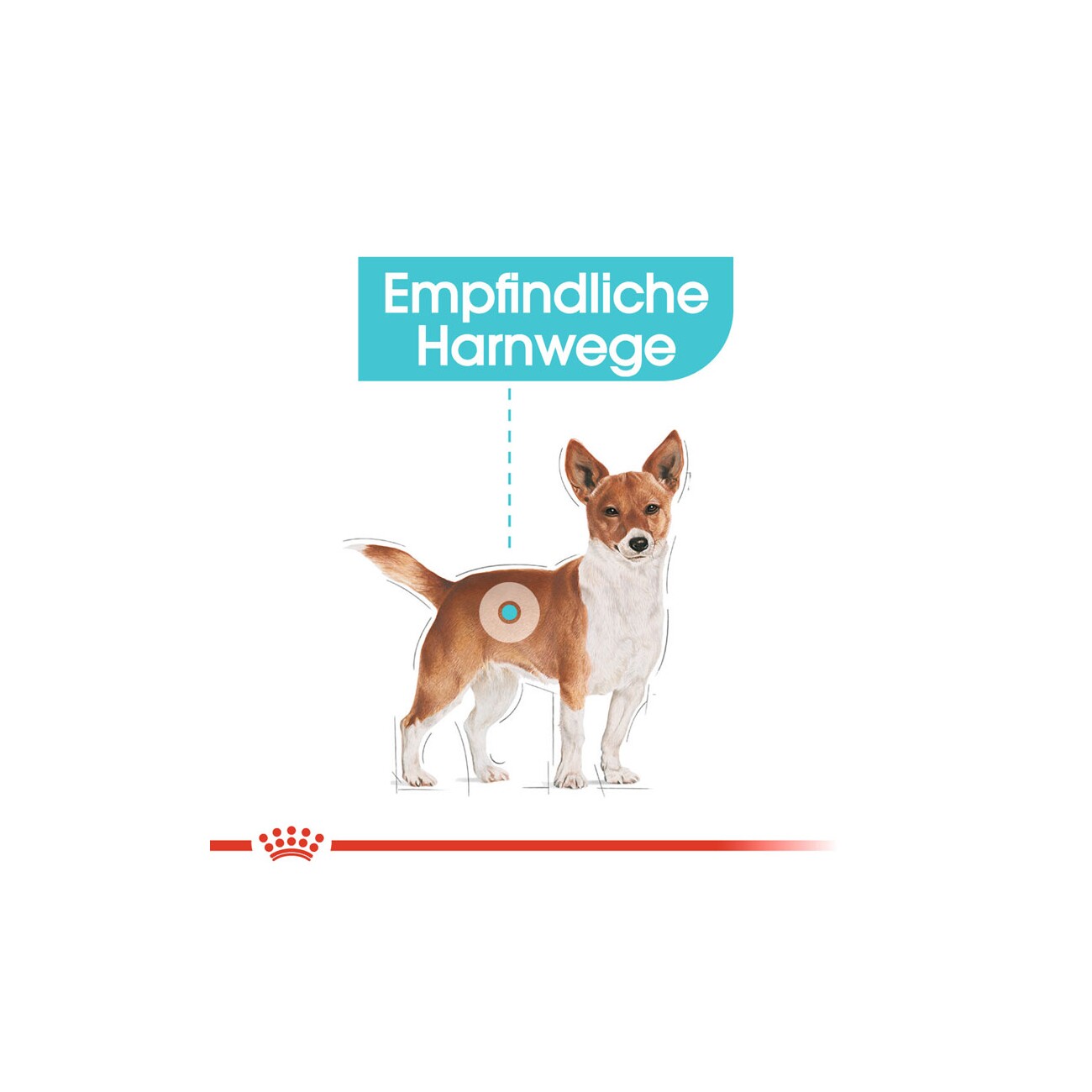 ROYAL CANIN Urinary Care Mini 3 kg