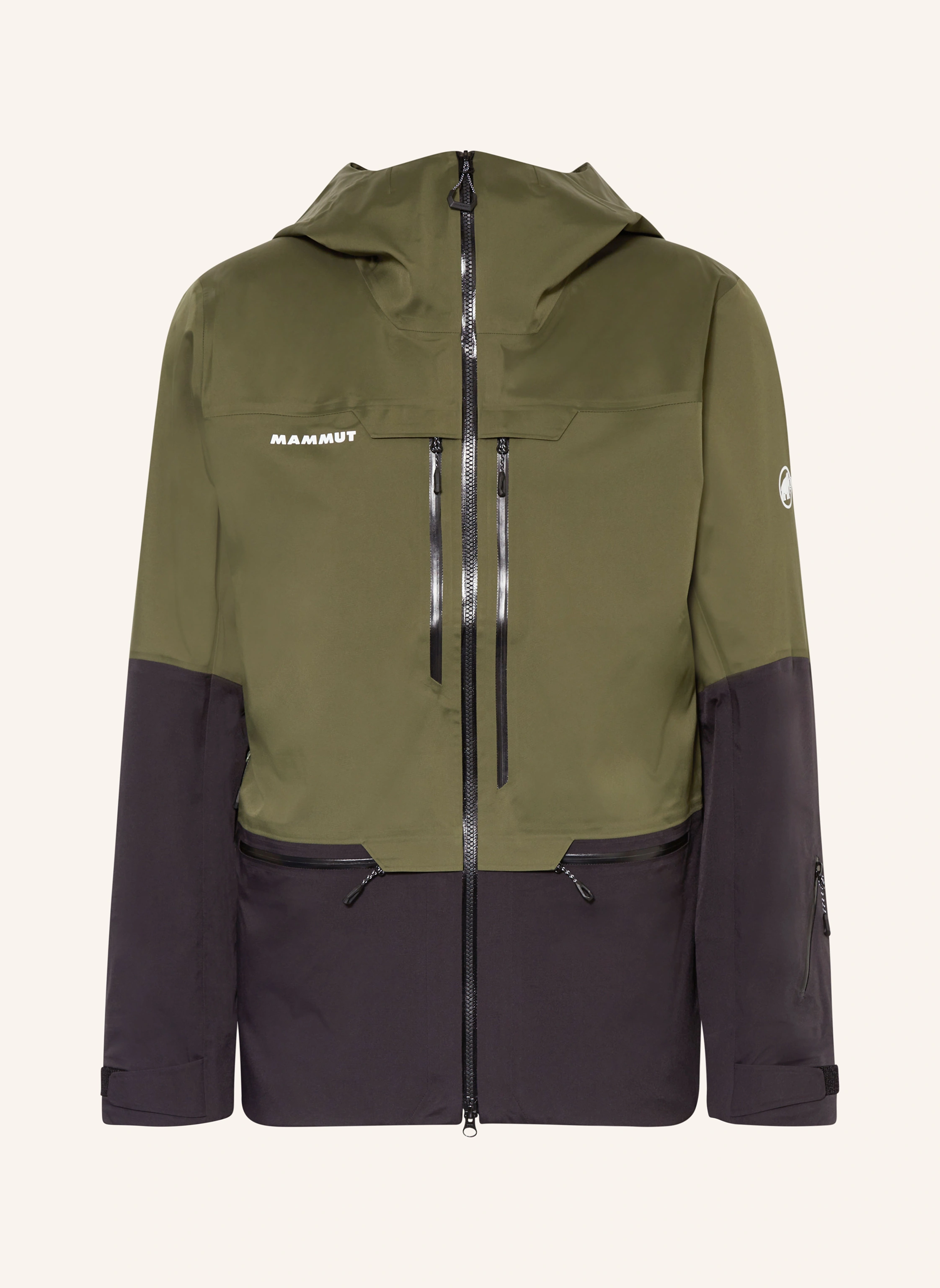 MAMMUT Hardshell-Skijacke HALDIGRAT