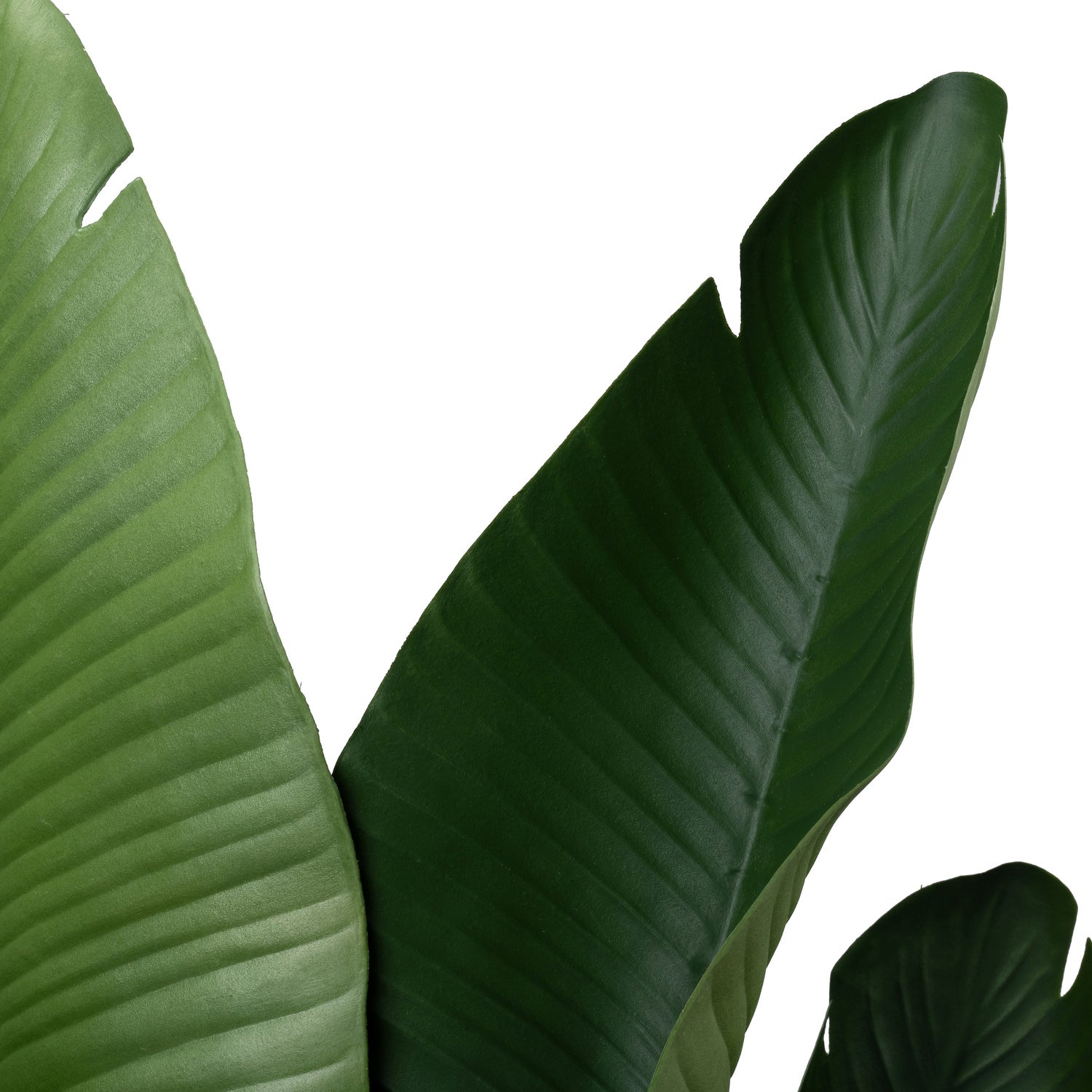 Intratuin kunstplant Strelitzia groen 95 x 95 x 185 cm
