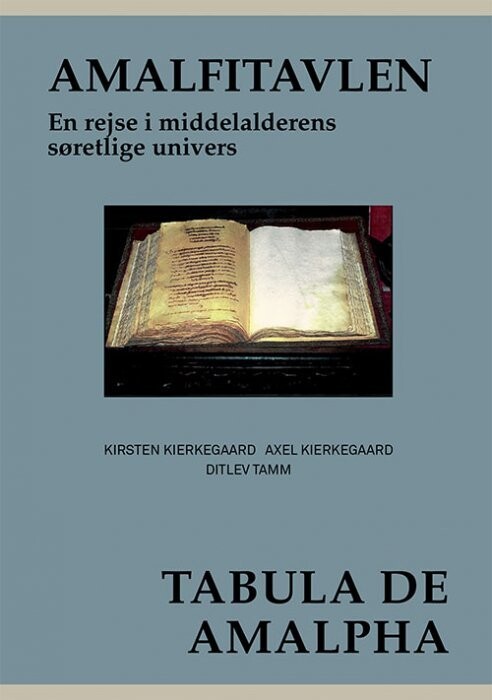 Latinerkvarteretamalfitavlen - Ditlev Tamm - Bog