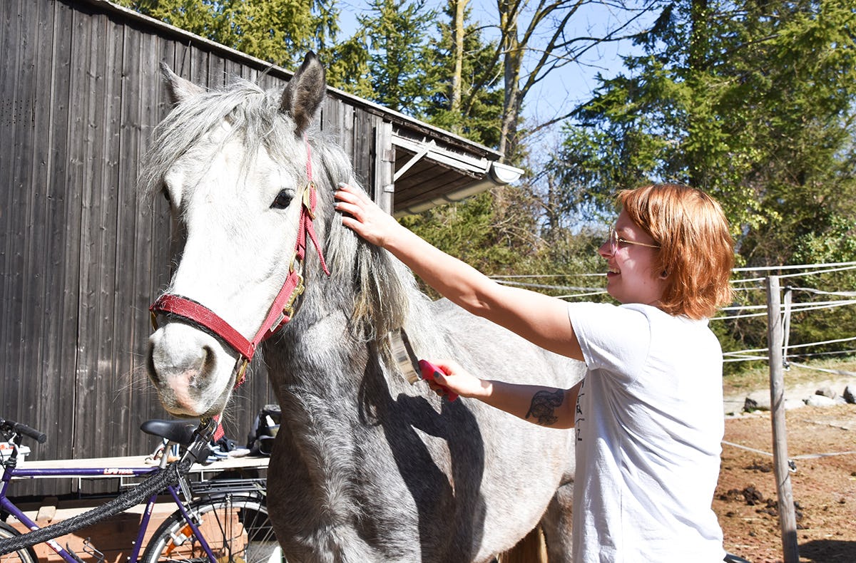 Pony Wanderung Bad Urach
