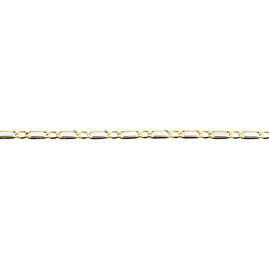 Collier Danae Maille Plaquette Alternée 1/1 Or Bicolore