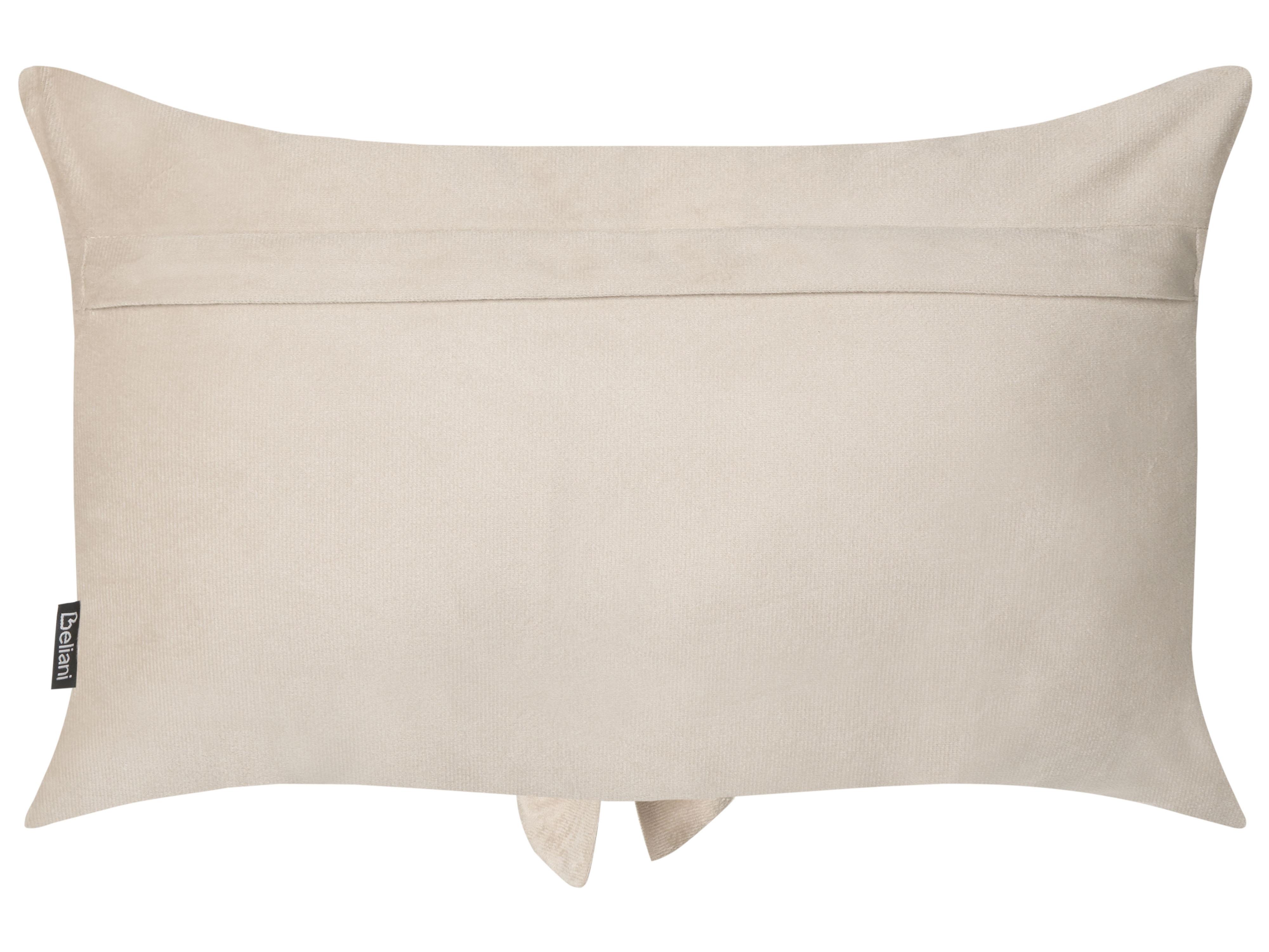 Set van 2 sierkussens BELLE Fluweel 30 x 50 cm Lichtbeige effen