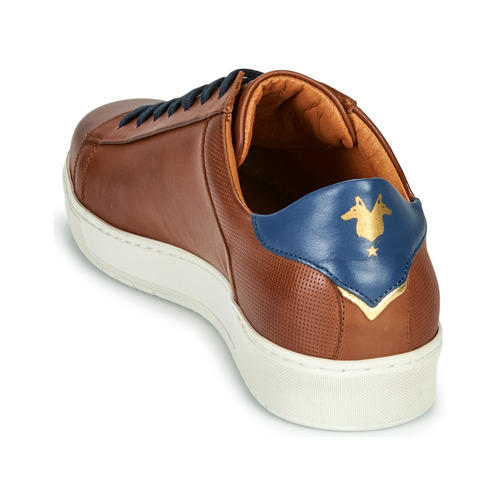 KOST - BATTLE 36 - Cognac