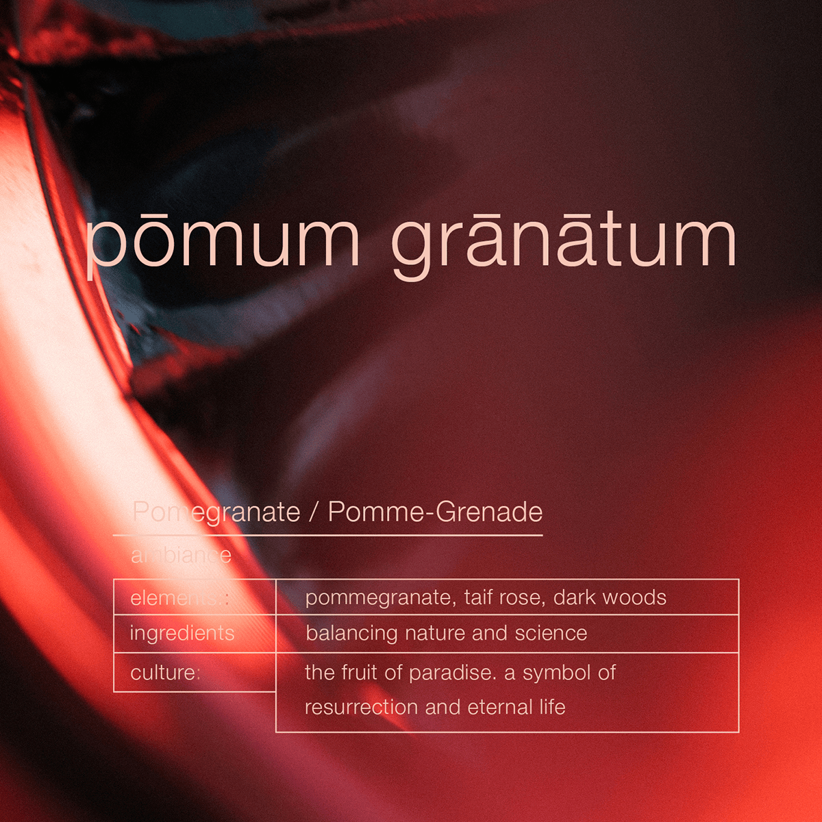 Pomum Granatum Ambiance Trigger Spray 1000ml
