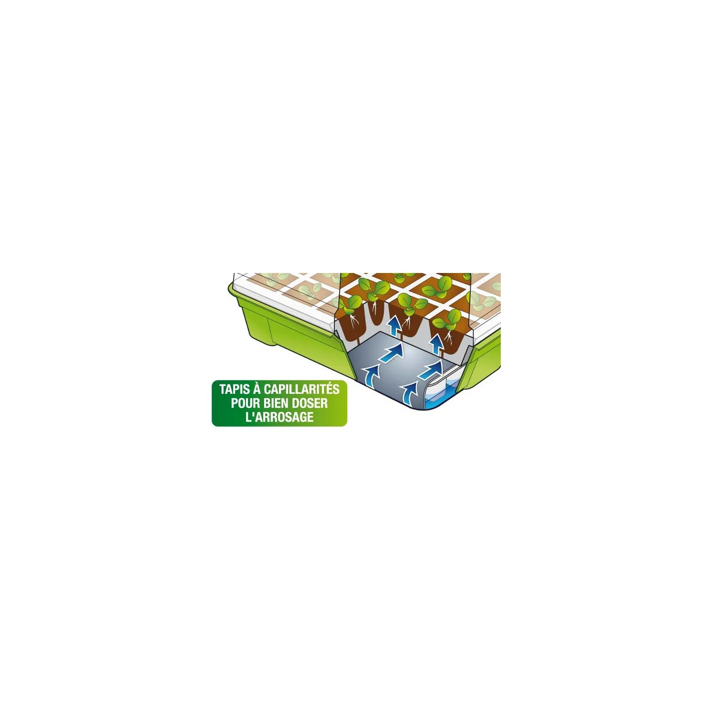 Kit de germination 40 godets lot x2 pour semis