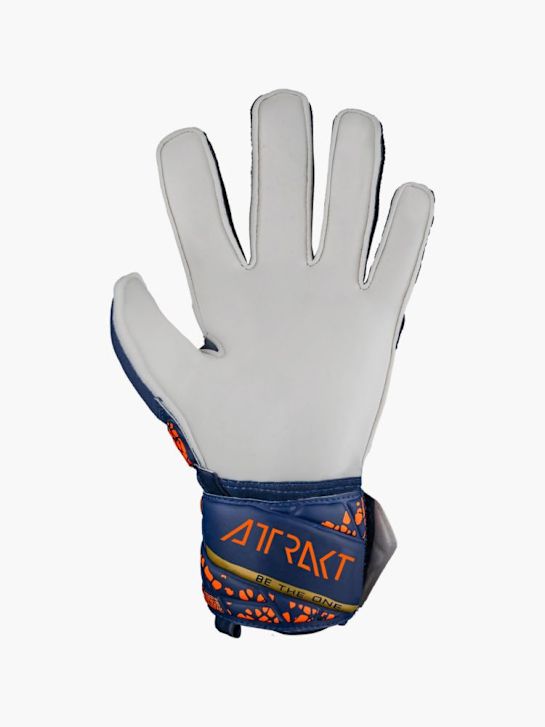 Reusch Equipment Blau