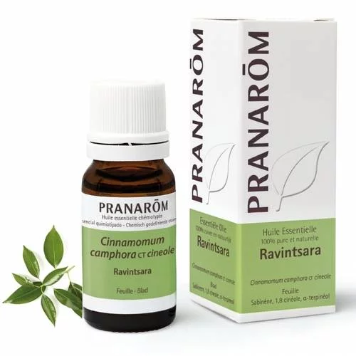 Ravintsara - 10 ml Feuille