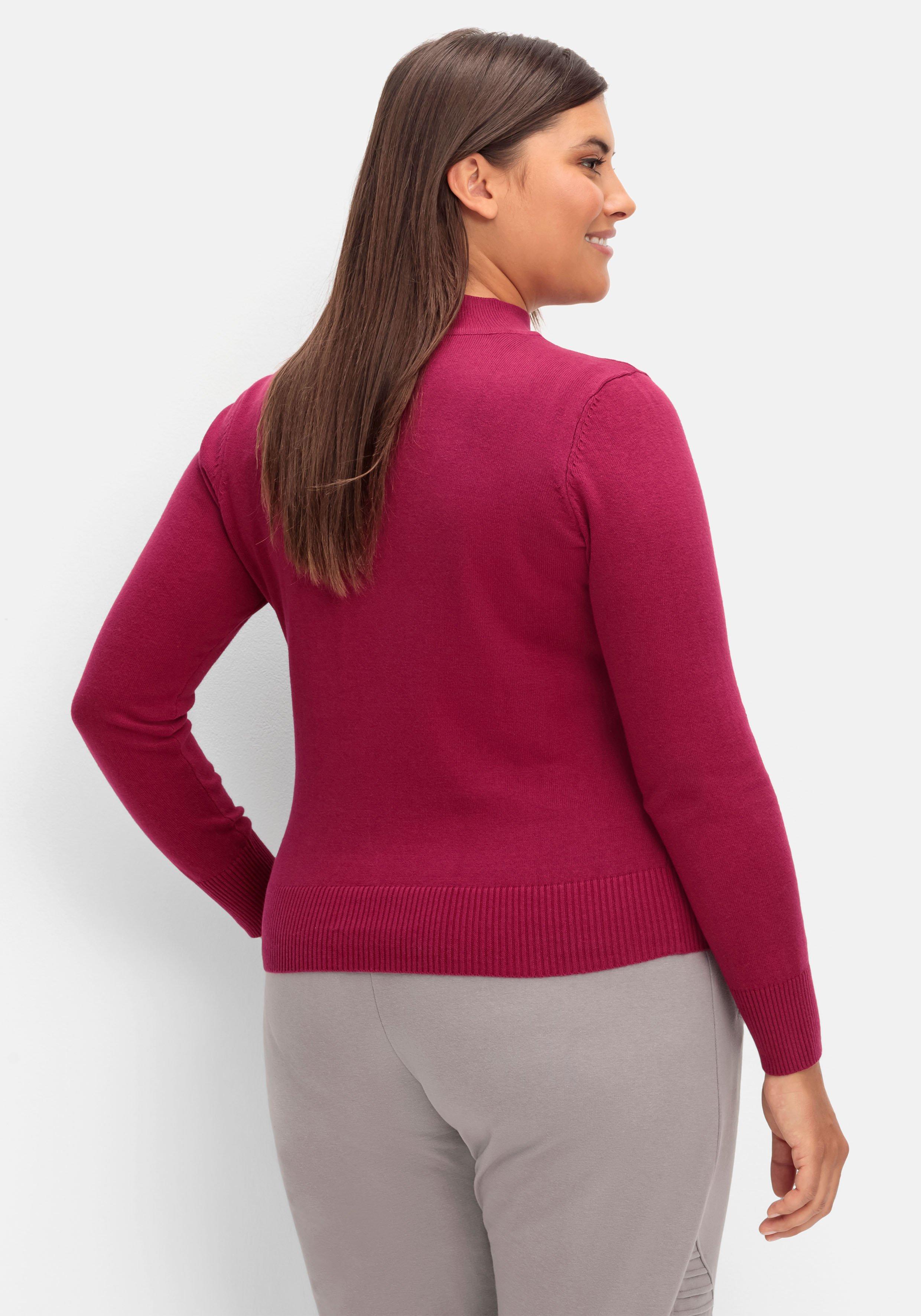 Pullover aus Feinstrick, mit Stehkragen