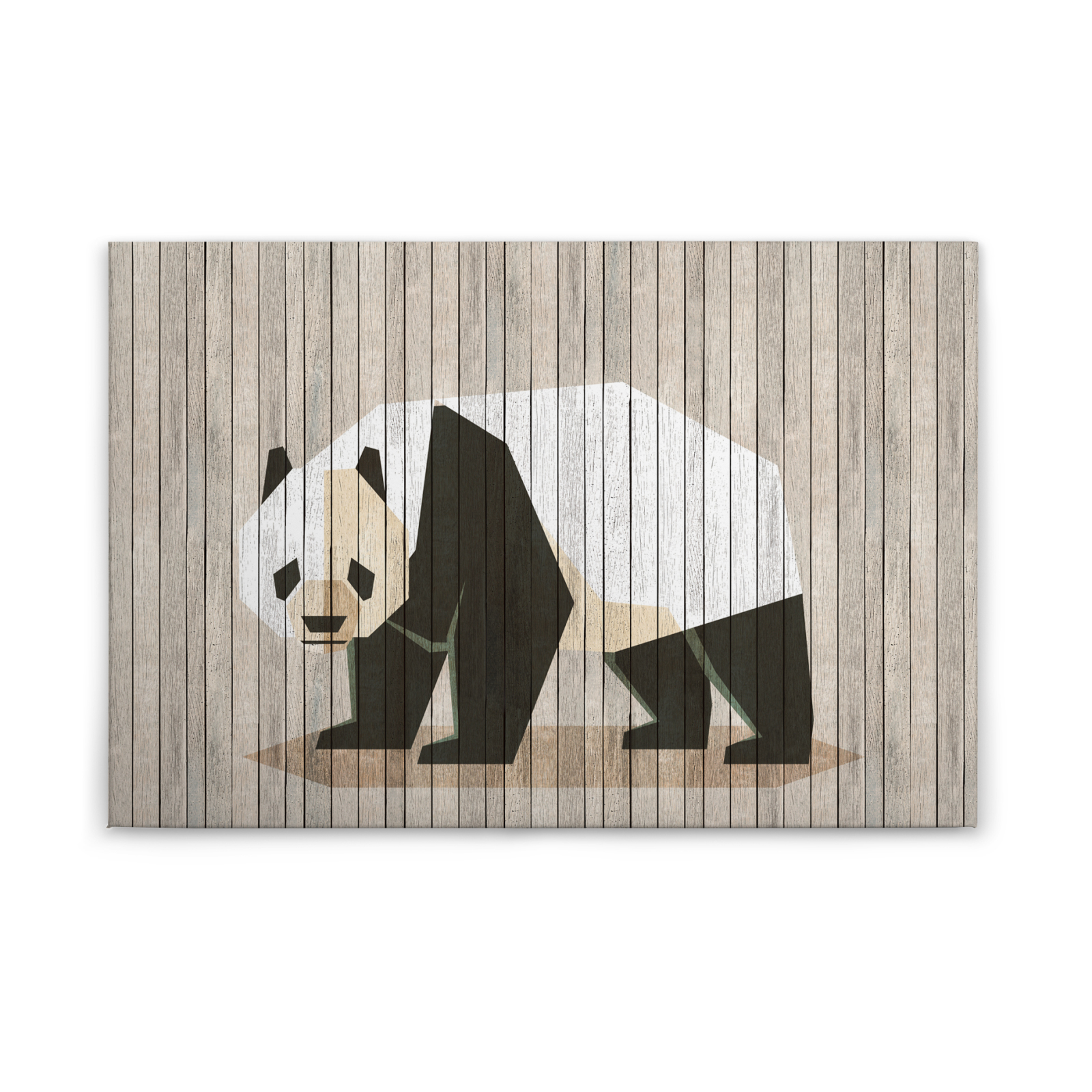 Leinwandbild PANDA - beige-weiß - 90x60 cm