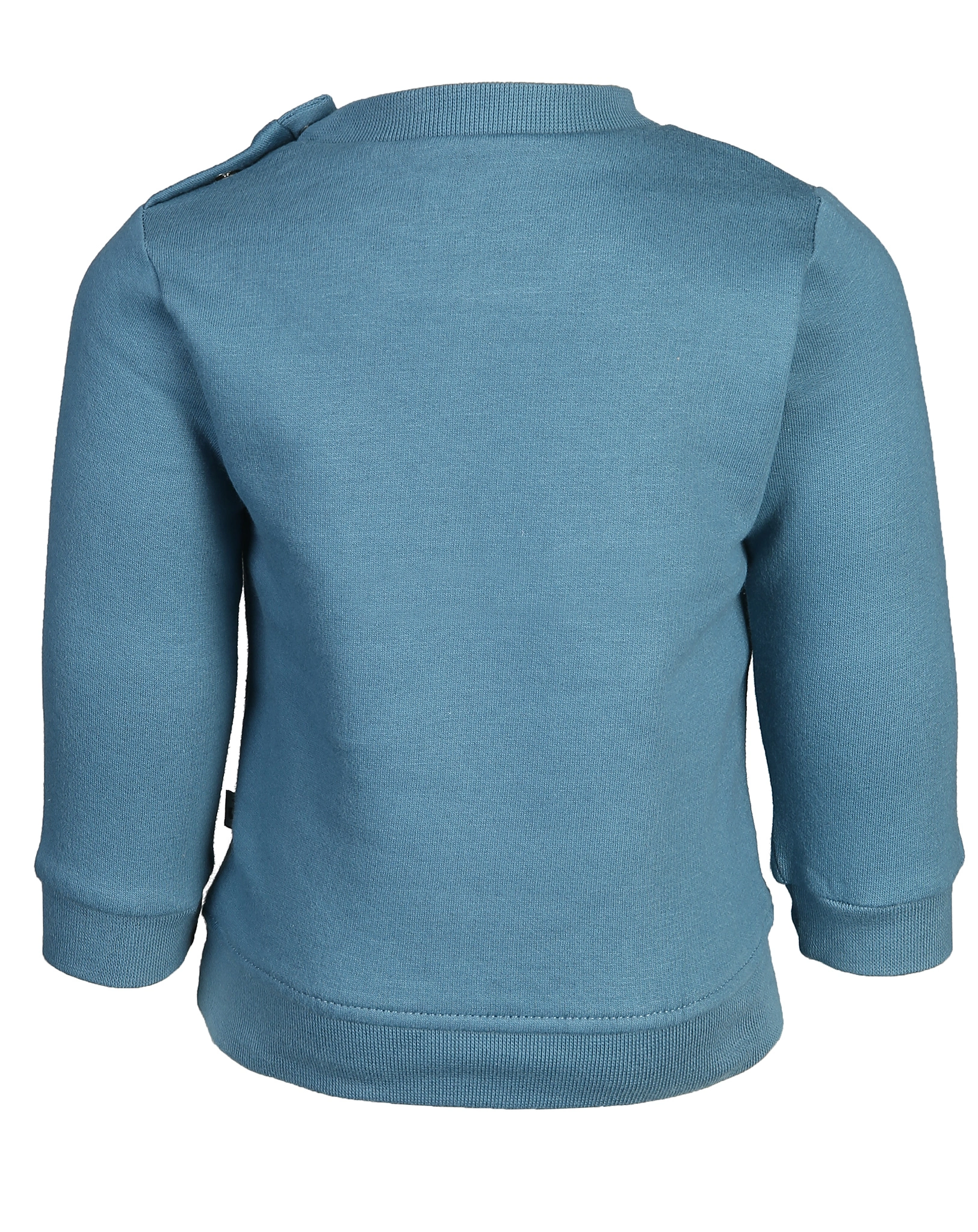 Sweatshirt BEST FRIENDS in petrol