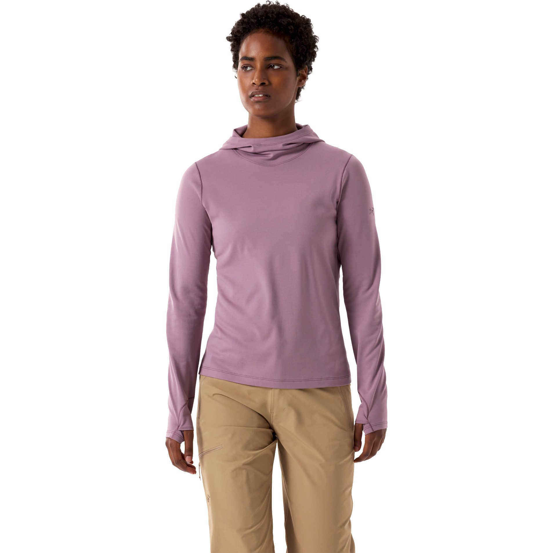 Arc'teryx Taema Thermal Hoody Damen interstellar heather