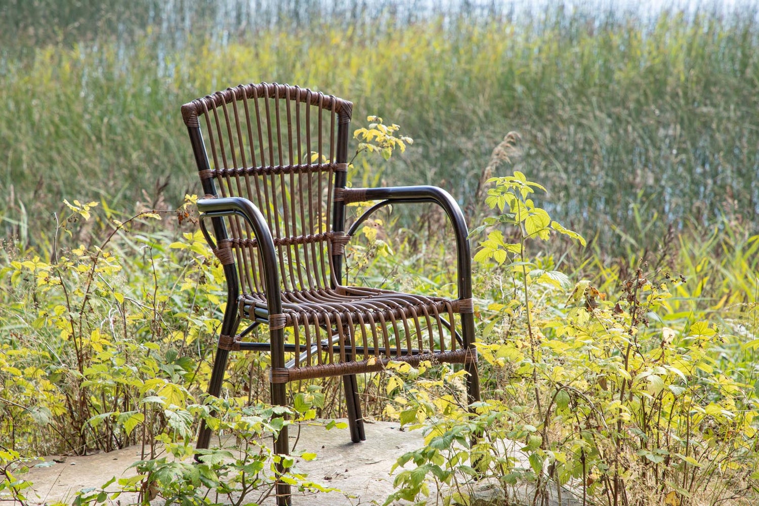 Galera stapelbare tuinstoel, bruin. 55 x 63 x 90 cm