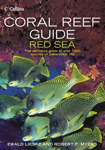 Coral Reef Guide Red Sea (Paperback)