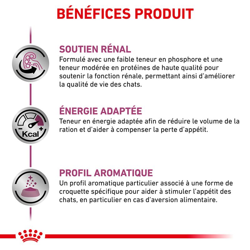 Royal Canin Veterinary Renal Special