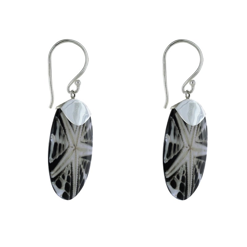Boucles d'Oreilles Argent Disque Etoile de Mer