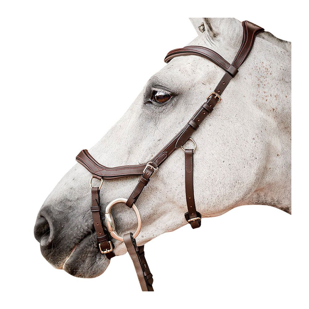 Horseware MICKLEM 2 COMPETITION - Bridon havana