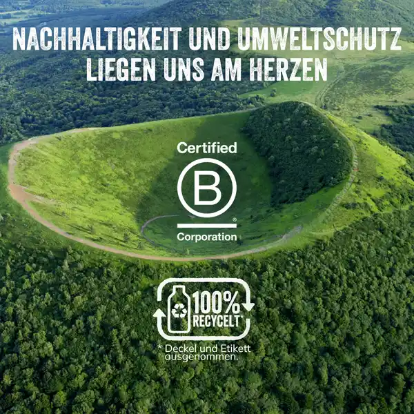 Bio Tee Pfirsichgeschmack