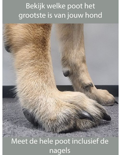 Pawz Rubber Dog Boots Zwart - Hondenschoen