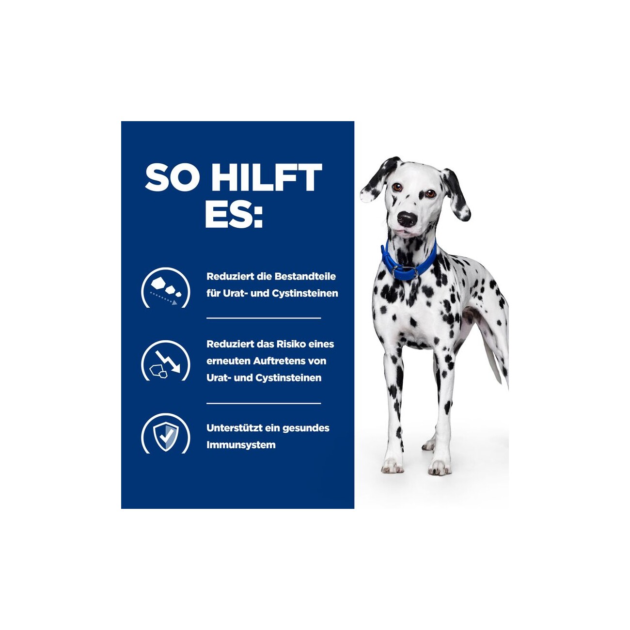 Hill's Prescription Diet u/d zur Unterstützung der Harnwege und Nieren 10 kg