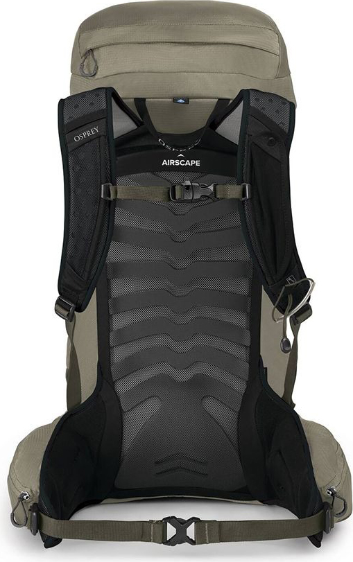 Talon 33 Sawdust/Earl Grey