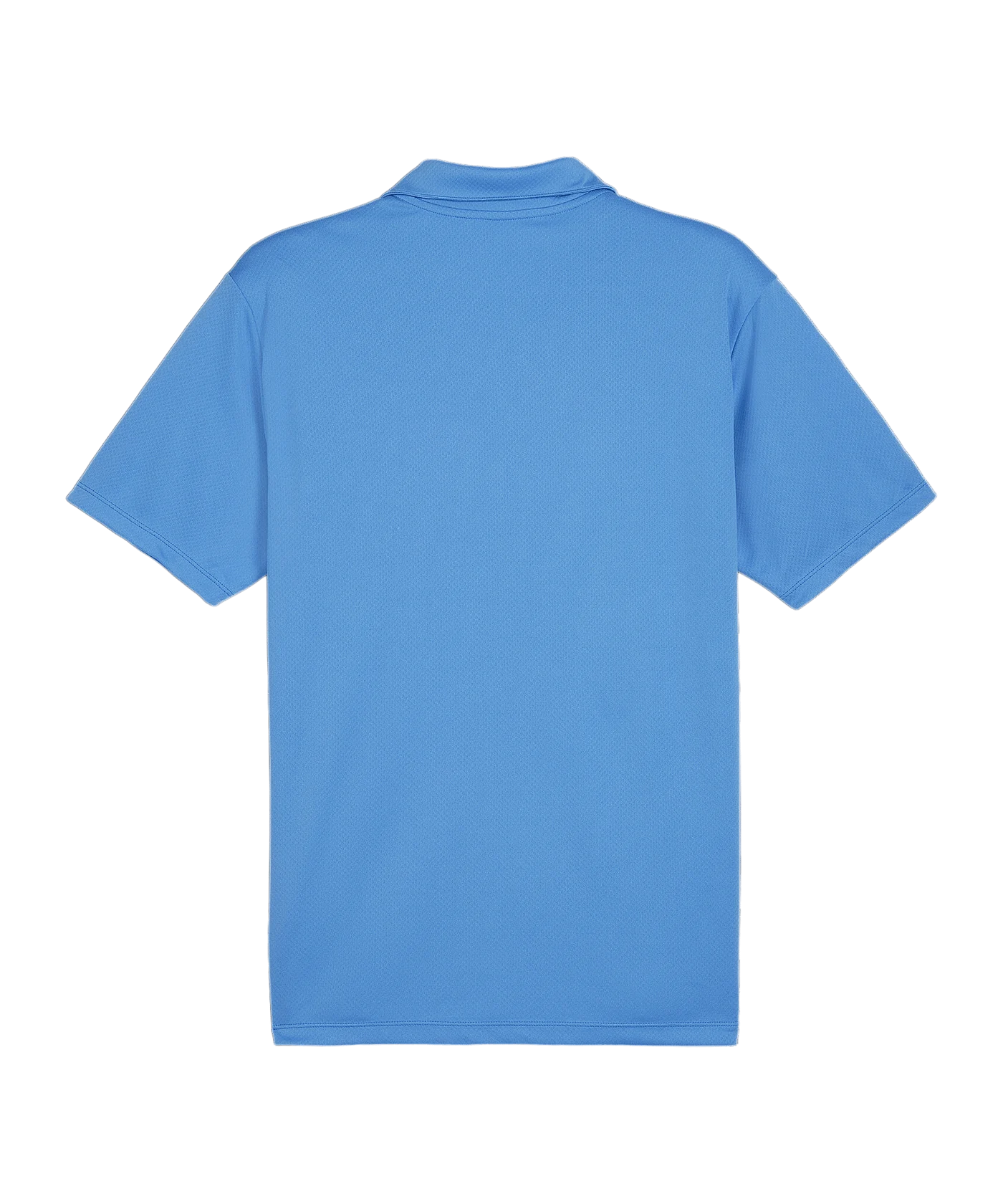 PUMA teamGOAL Poloshirt Blau F02