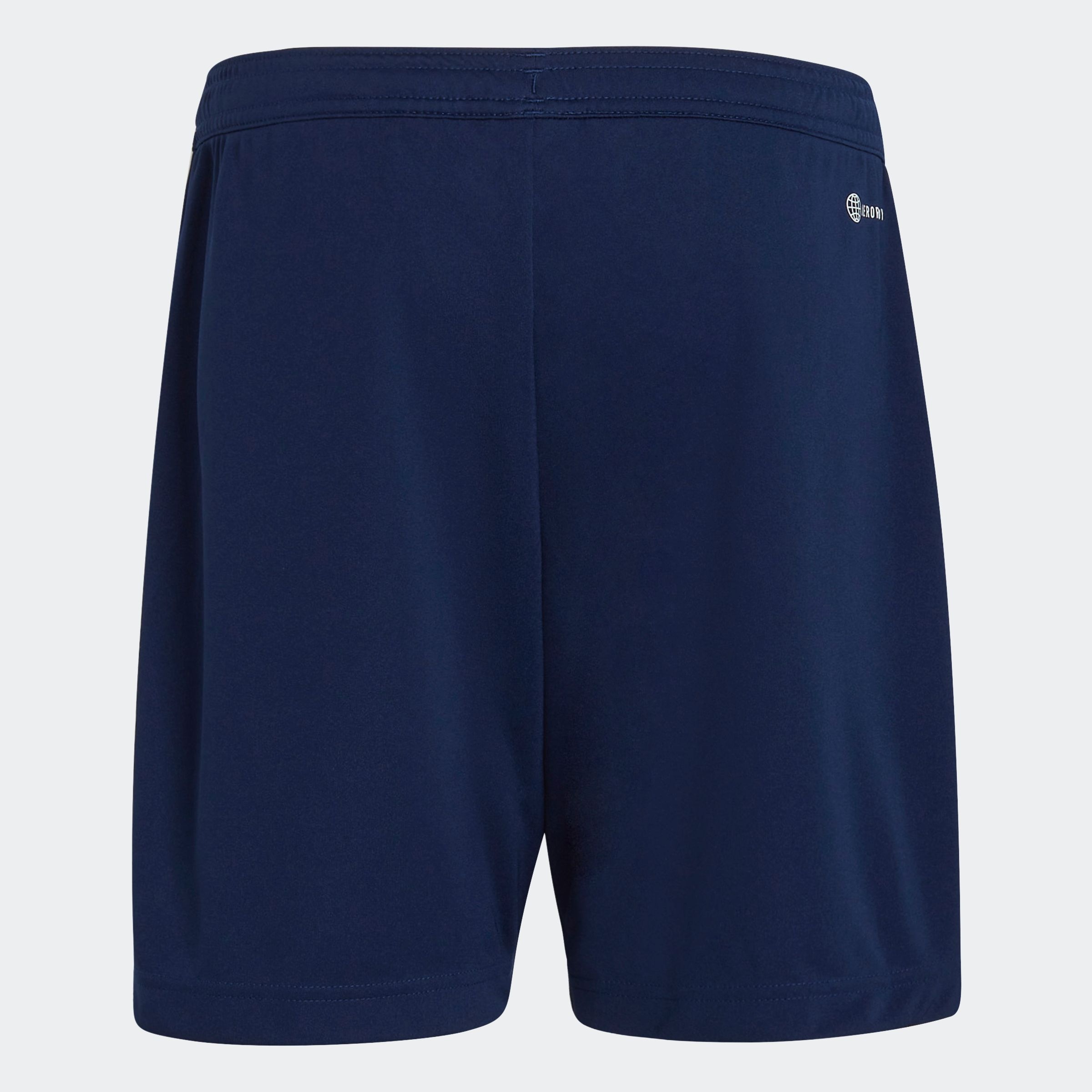 adidas Performance Trainingsshorts »ENT22 TR SHOY«