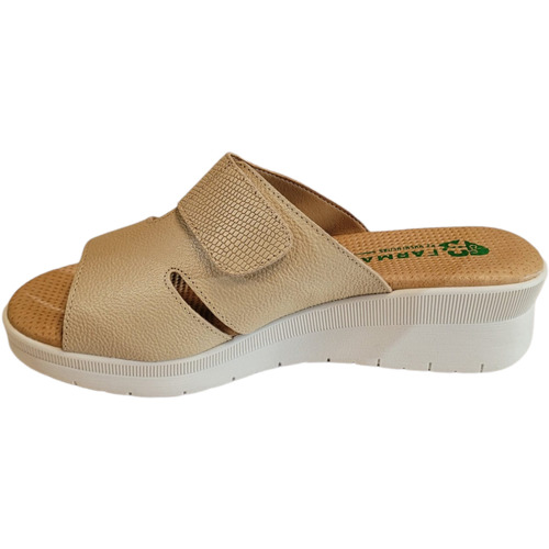 Farmabio - FACU2306341CA Marrón