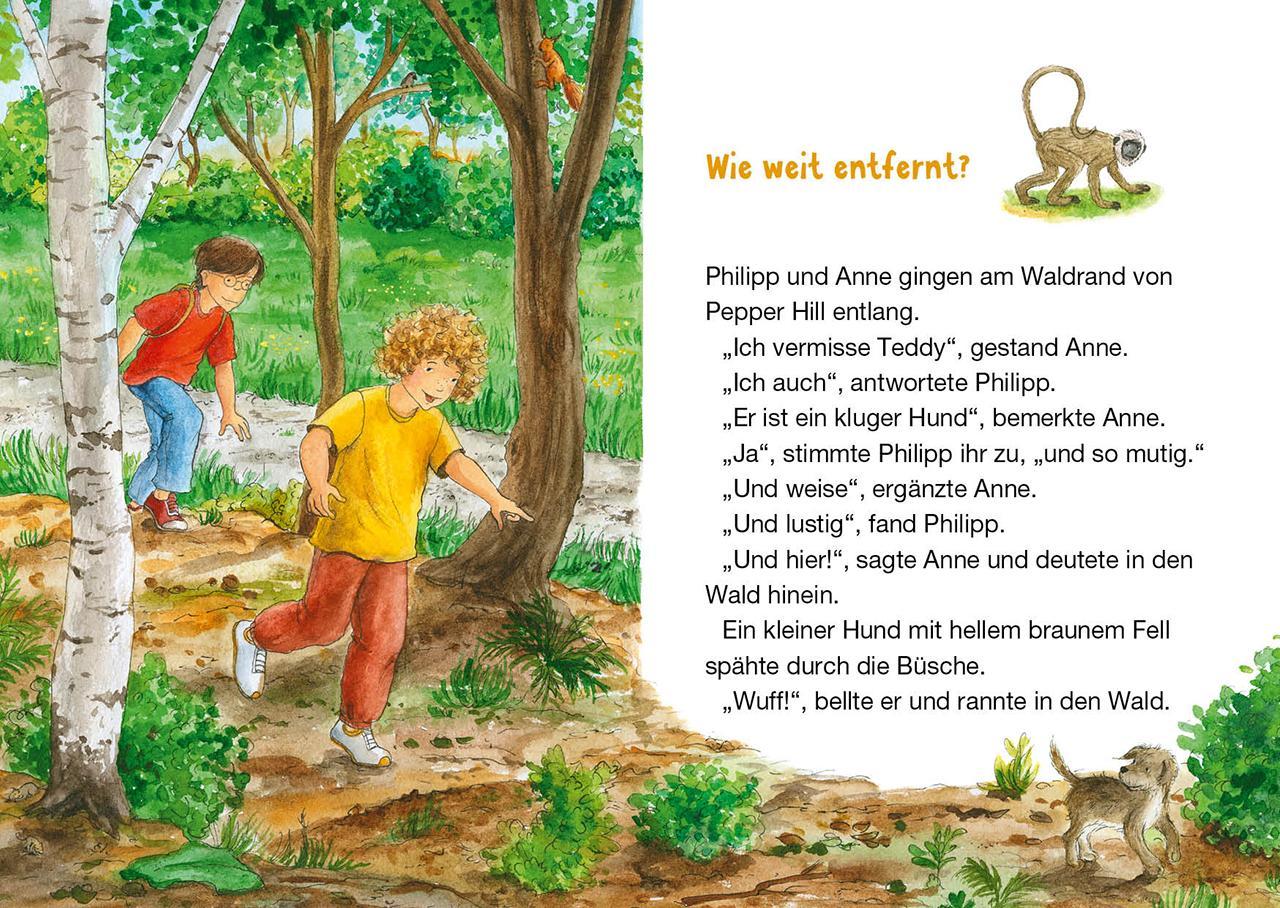 Auf der Spur des Tigers / Das magische Baumhaus junior Bd.17