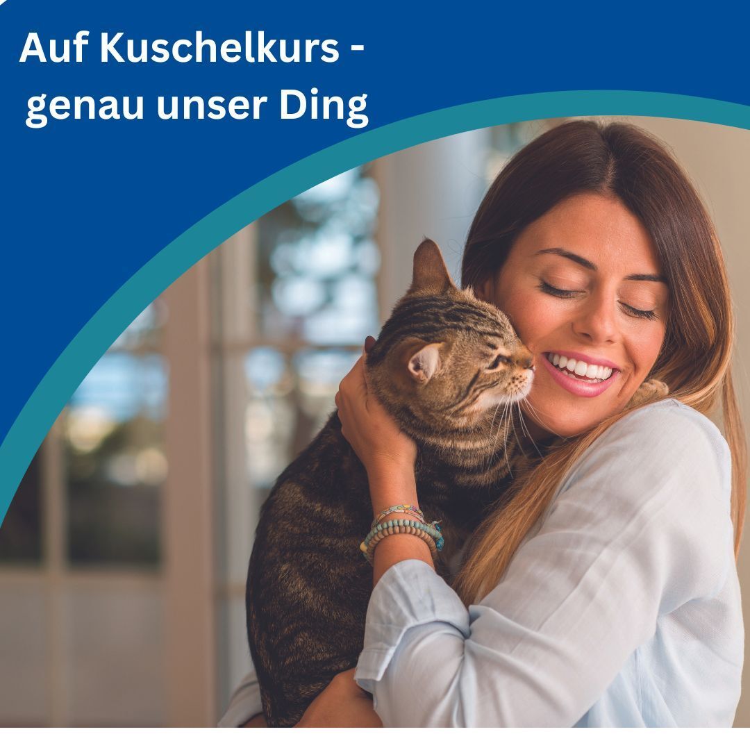 Amflee® combo 50 mg/60 ml für Katzen