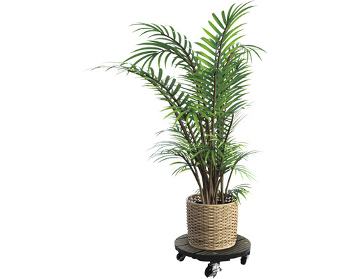 Lafiora WPC plantenkar 30x30x7,5 cm rond bruin TK 100 kg