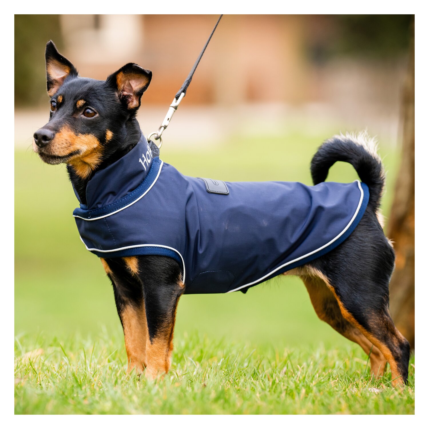 HORSEWARE Hunde-Regenmantel - navy