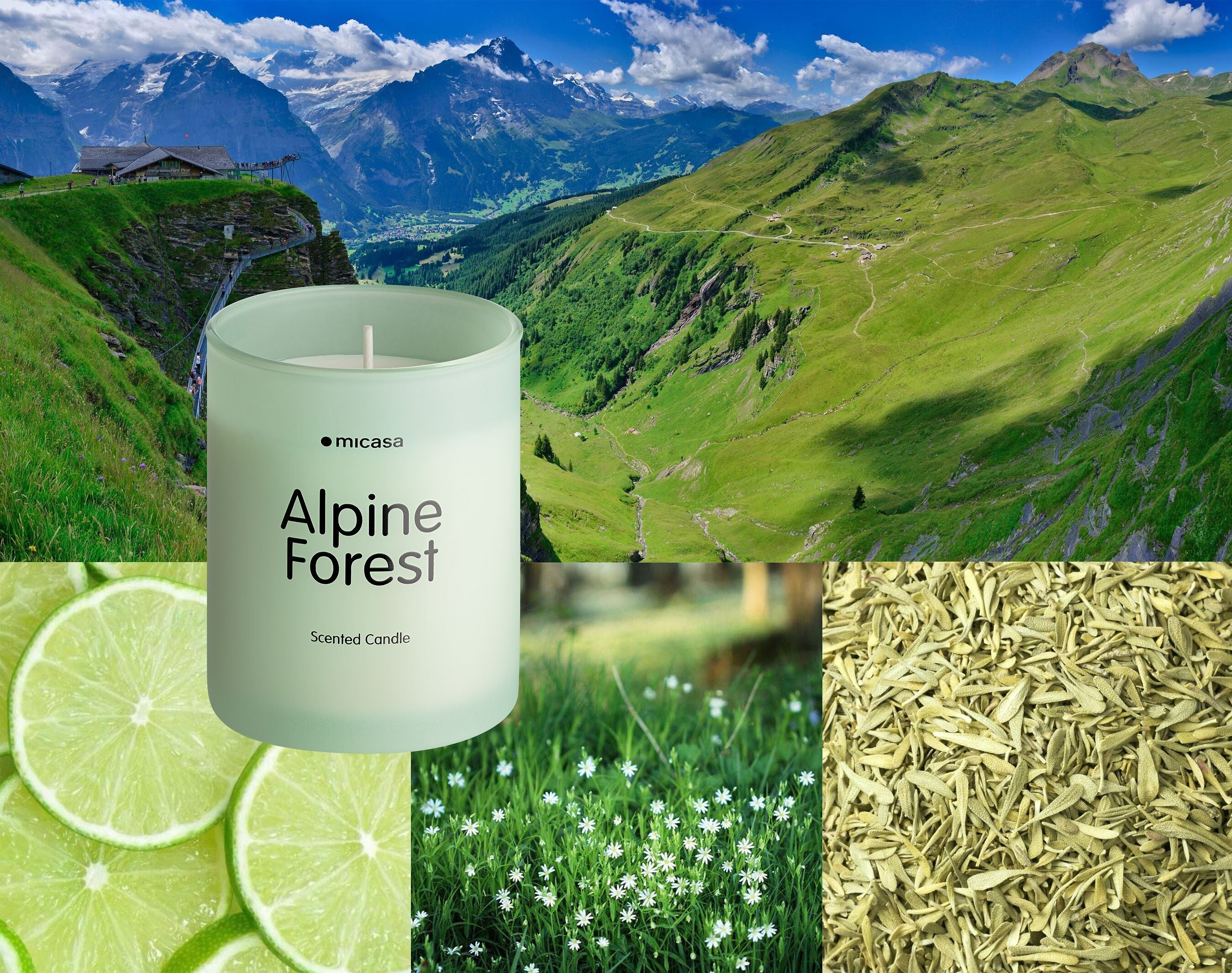 SIAN Alpine Forest Duftkerze - Alpine Forest / Alpine Forest