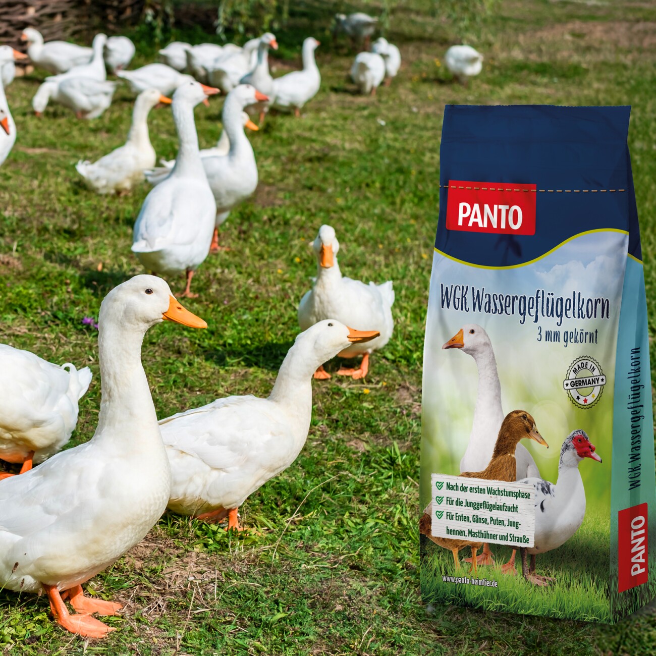 Panto WGK WASSERGEFLÜGELKORN (3 MM GEKÖRNT) 25kg