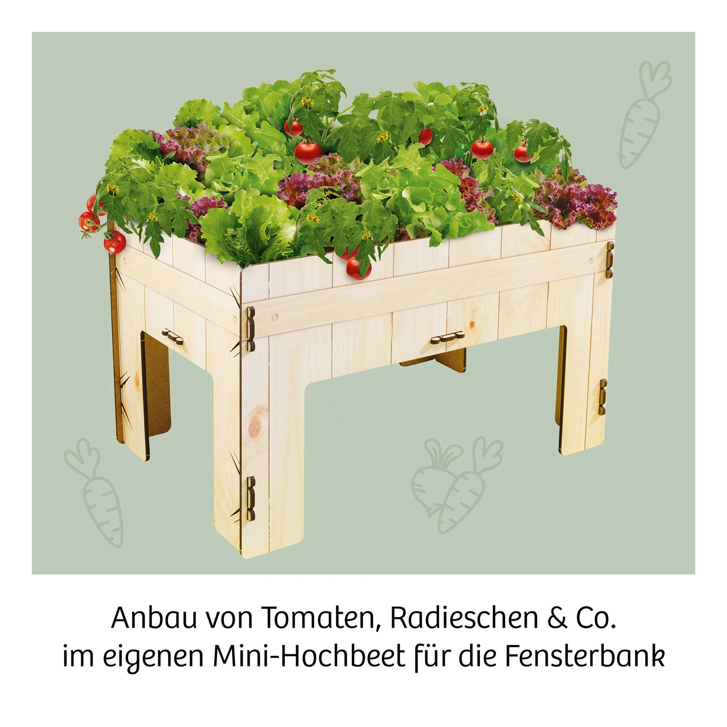 Pflanz-Set JUDITH RAKERS - MEINE ERSTE FARM