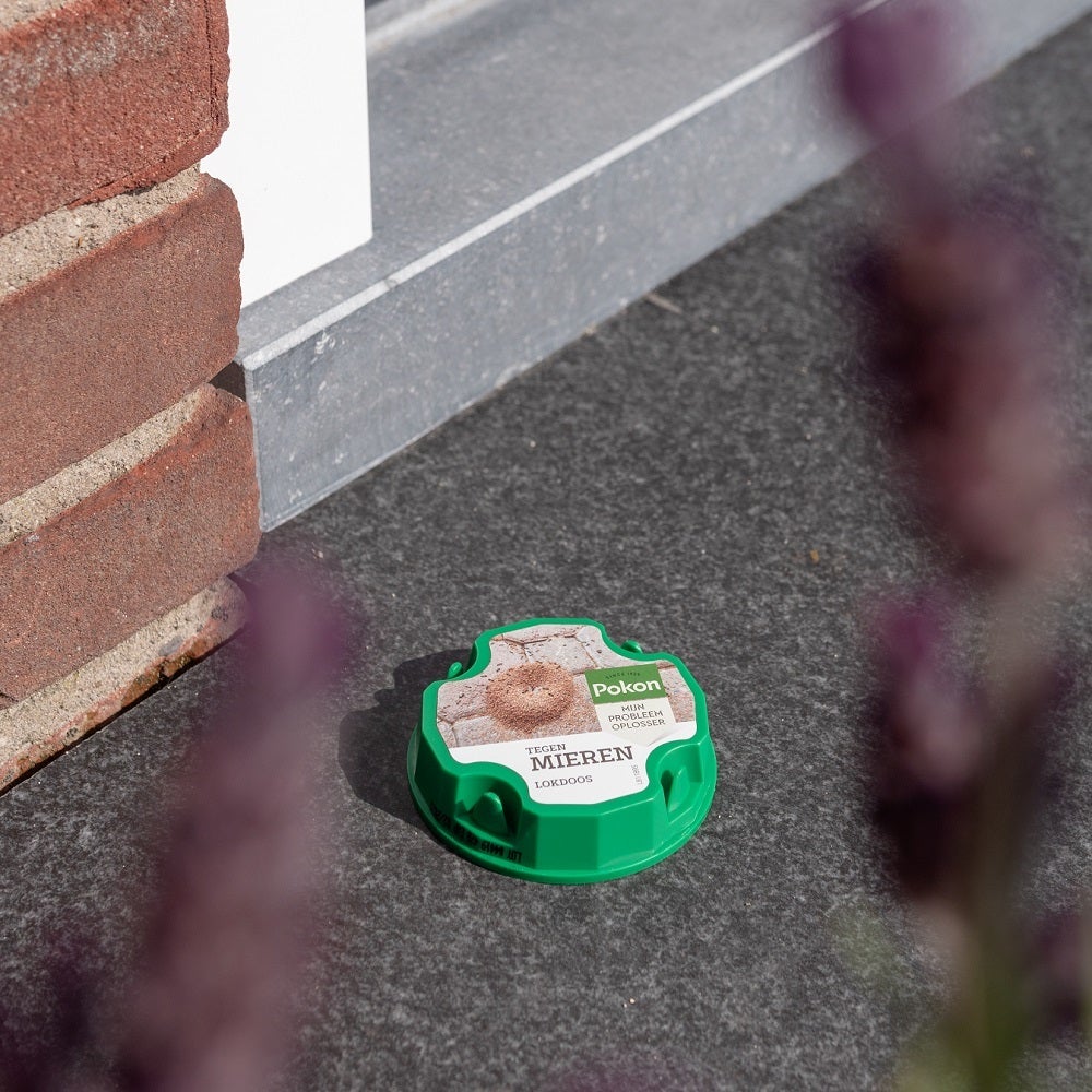 Pokon tegen mieren lokdoos 2 stuks