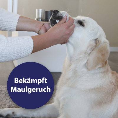Canosept Zahnpflege Hund - Zahnpflegespray für das Hundegebiss 100ml