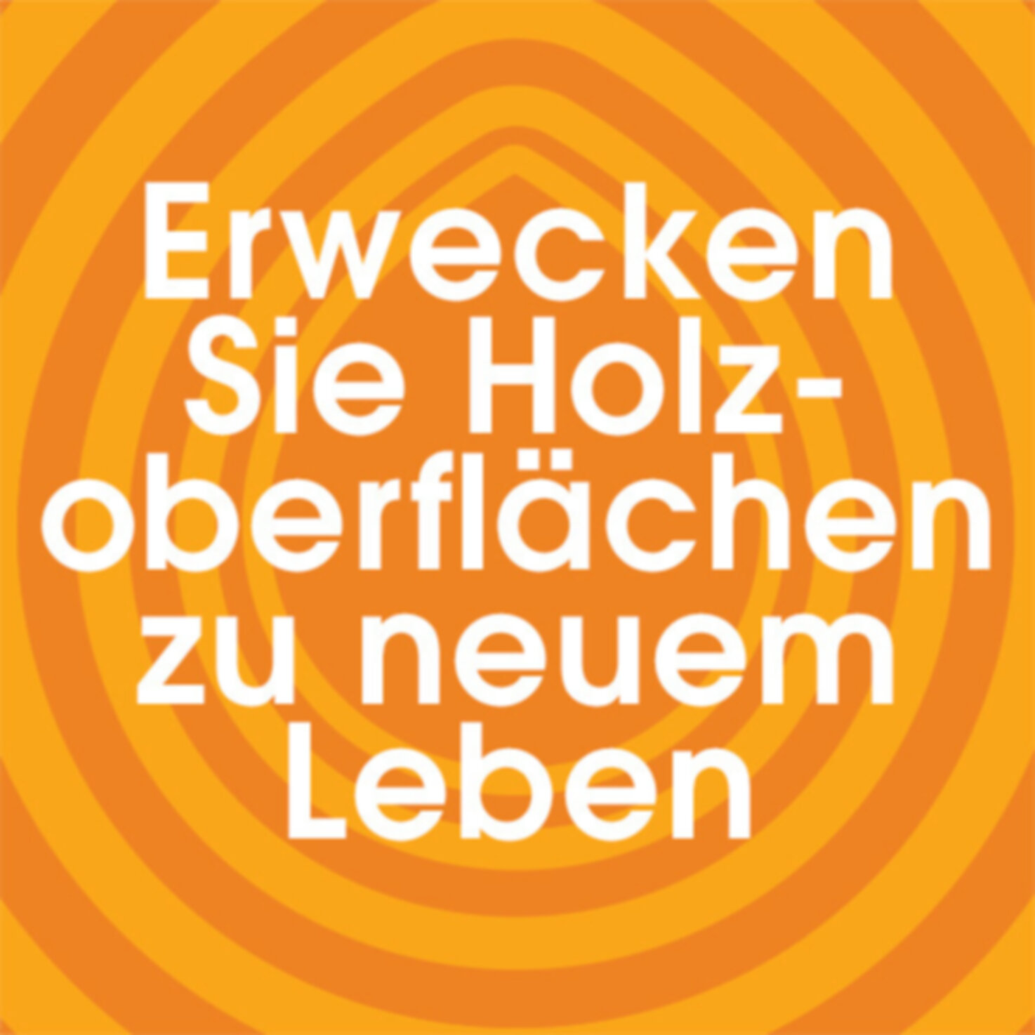 Pronto Holzreiniger Original