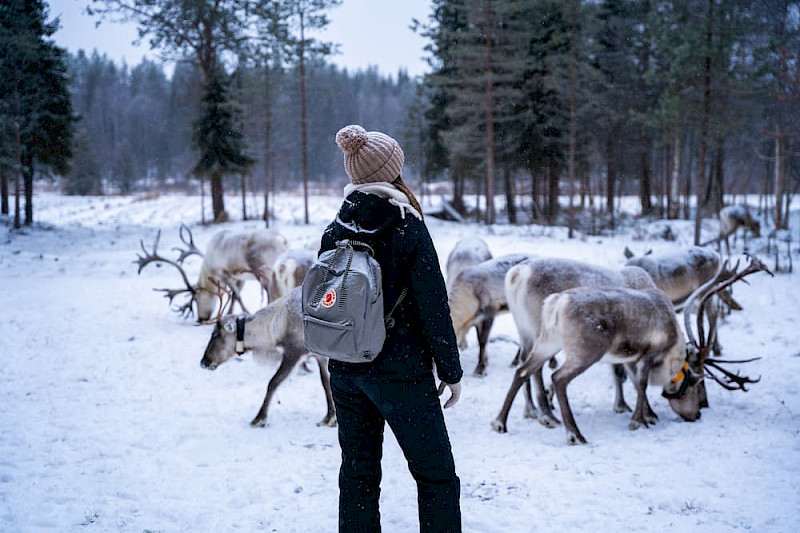 Rondreis Stockholm, Helsinki én Lapland