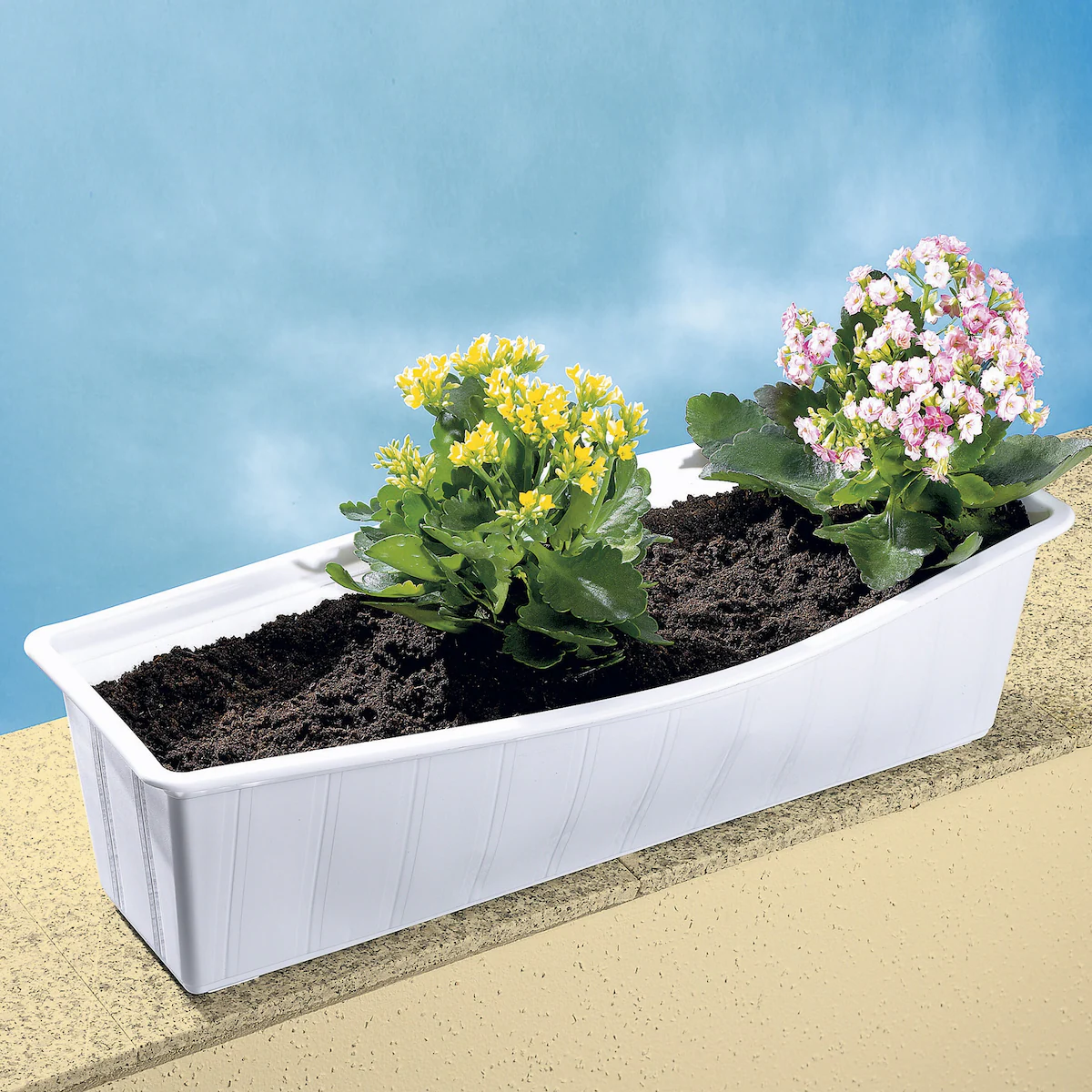 genialo - Blumenkasten-Klammern, 4 Stück